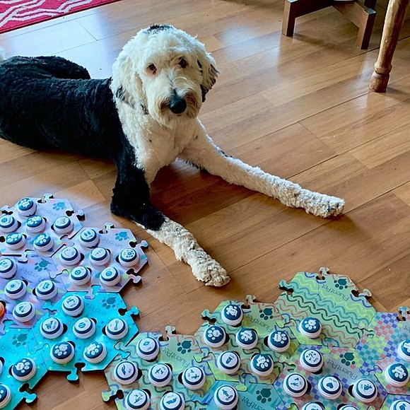 Fluent Pet Dog Fluent Pet Button Great Gift For Pet Owners Poshmark